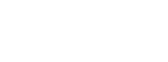 Bitnovation Data